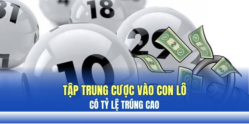 Người chơi nên tập trung vào con lô có tỷ lệ trúng cao