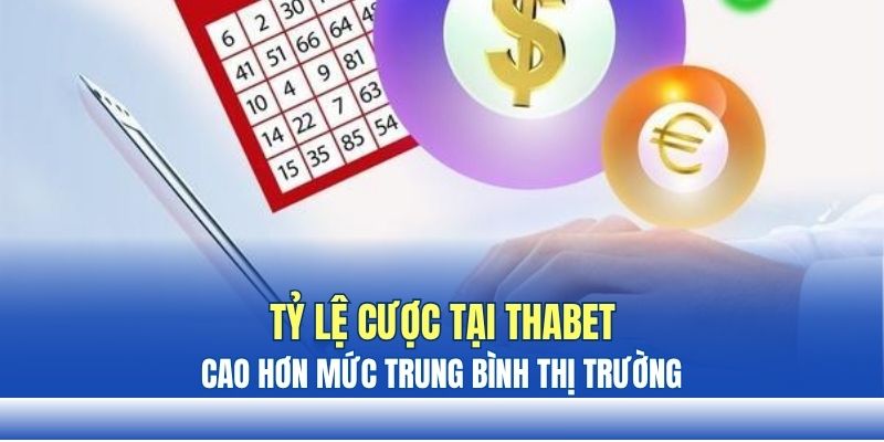 Tỷ lệ cược THABET cao hơn mức trung bình thị trường